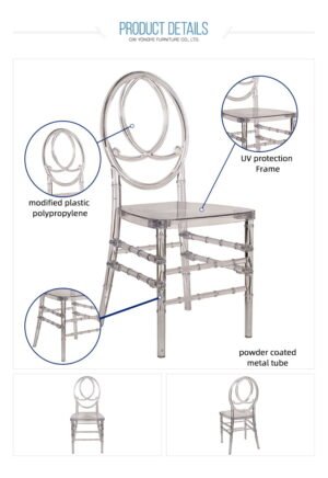 Transparent Resin Phoenix Chair - Image 5